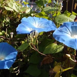 Meet your Posher, Sadhvi